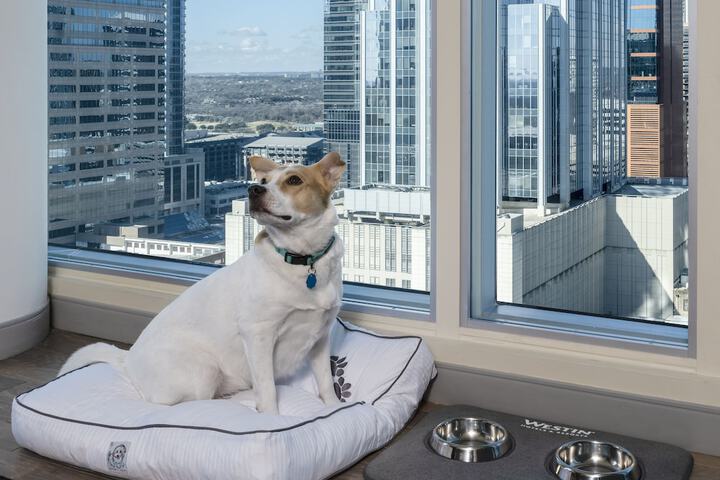 The Westin Austin Downtown