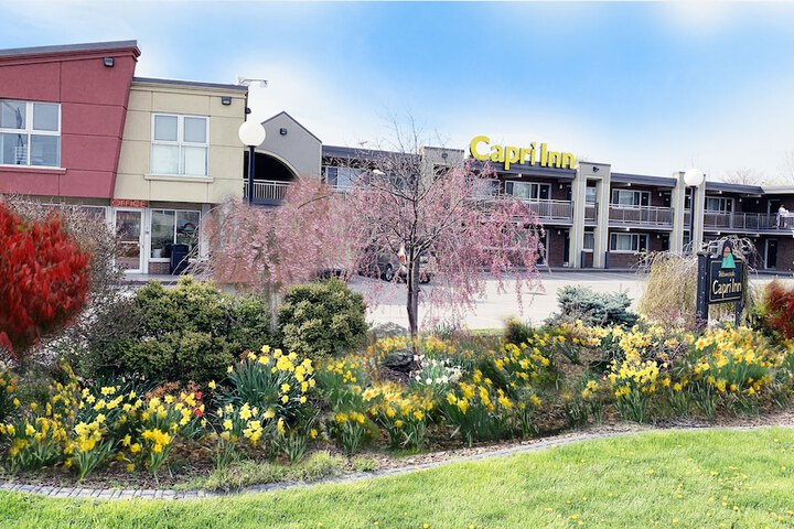 Capri Inn