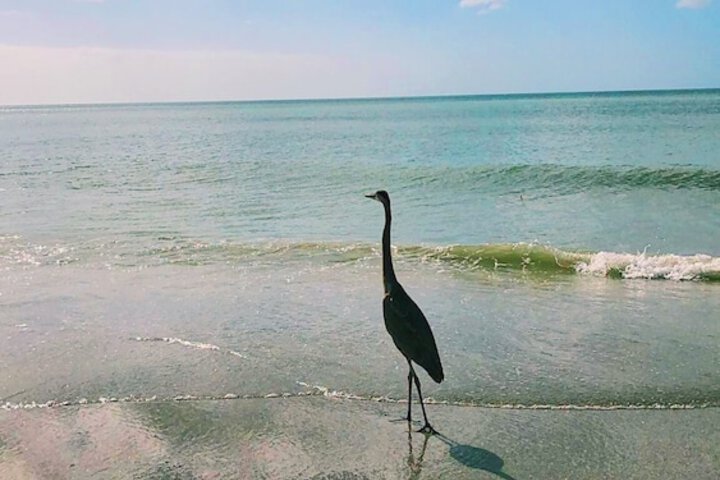 Beach 154 of 170