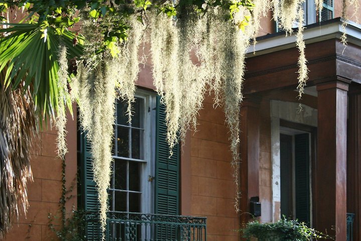 Hotel Indigo Savannah Historic District by IHG