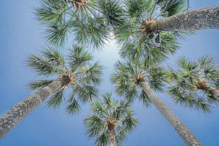 Royal Palms Motel