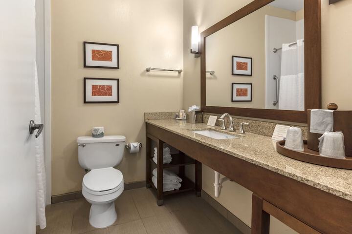 Comfort Inn Memphis Downtown