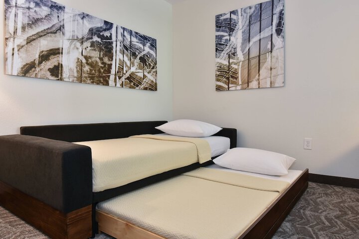 SpringHill Suites by Marriott Columbia Downtown / The Vista