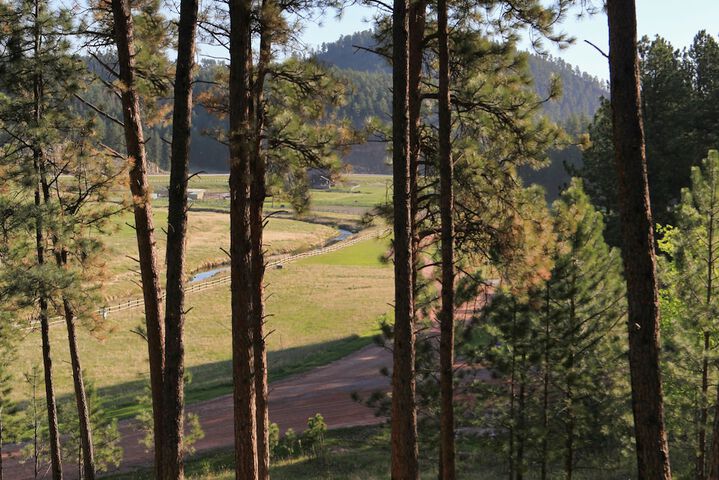 Mountain View Lodge & Cabins