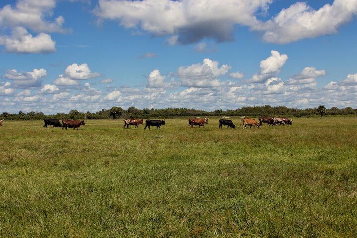 Westgate River Ranch Resort & Rodeo