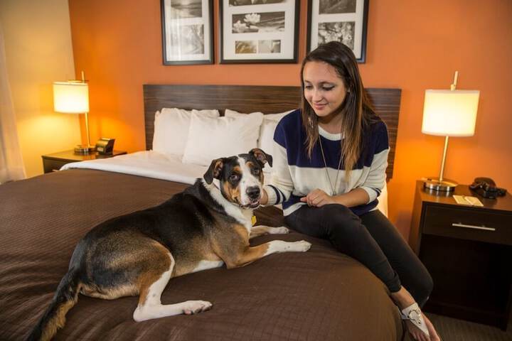 Pet Friendly 66 of 74