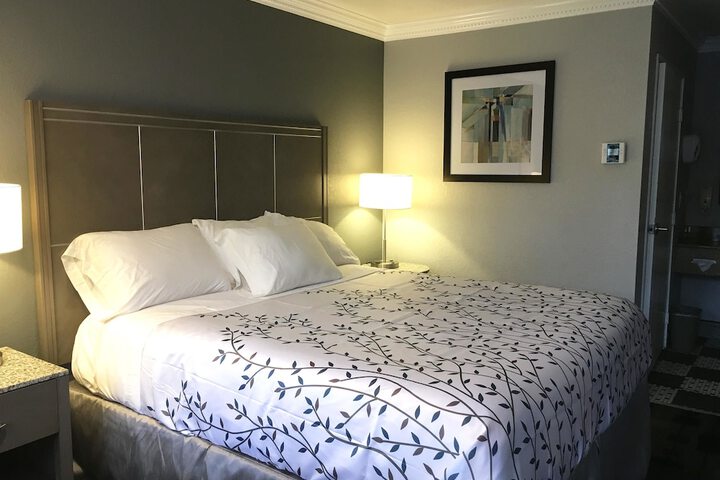 Room 29 of 64