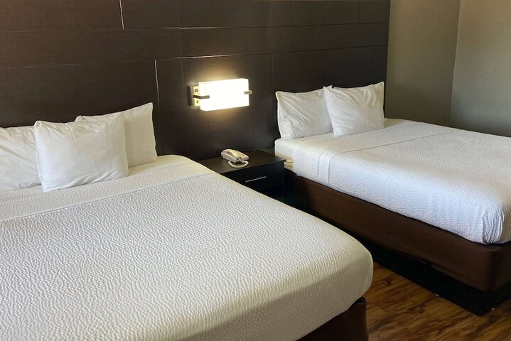 Room 15 of 19
