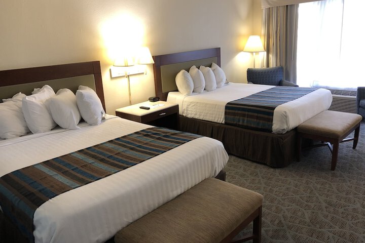 Room 19 of 80