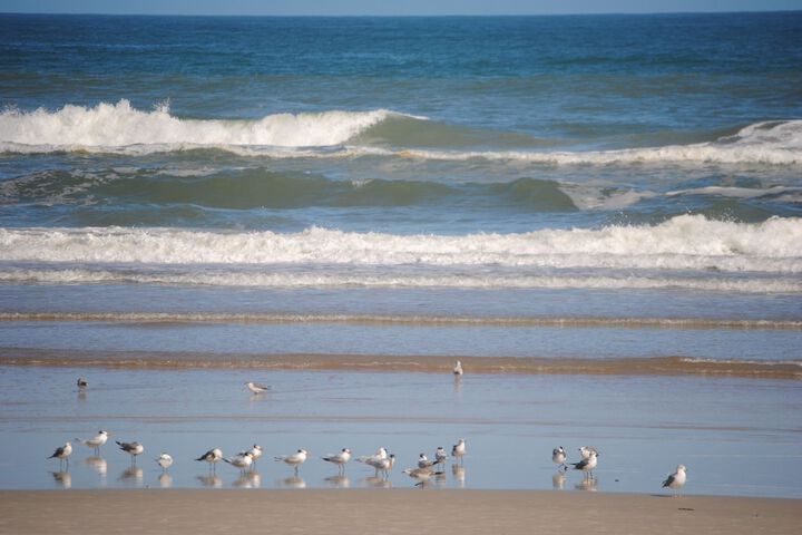 Beach 28 of 32