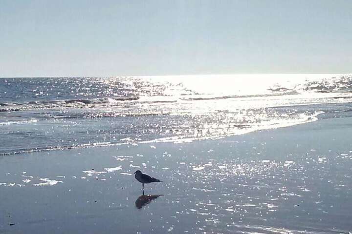 Beach 38 of 51