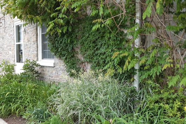 Stone Carriage House