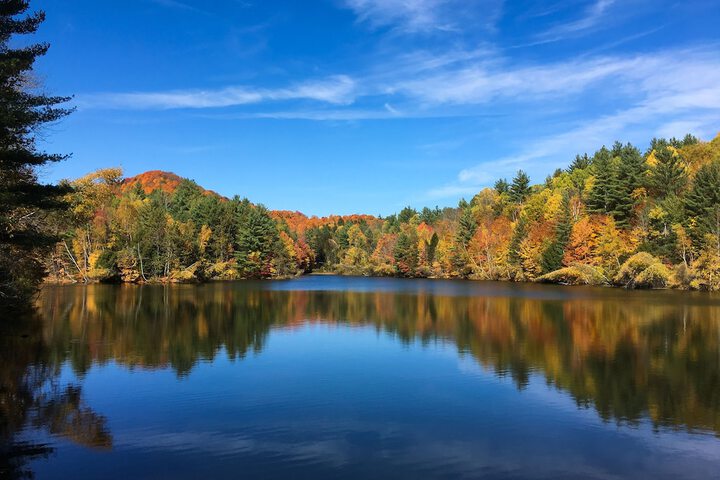 Mountain Meadows Lodge