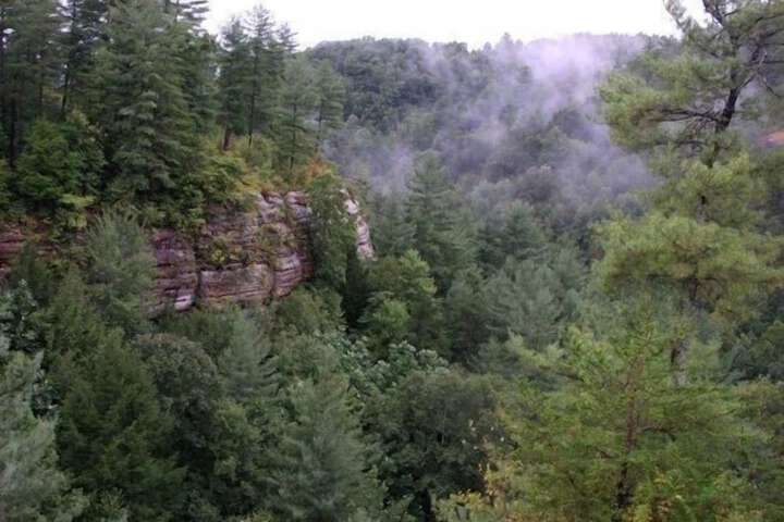 Cliffview Resort