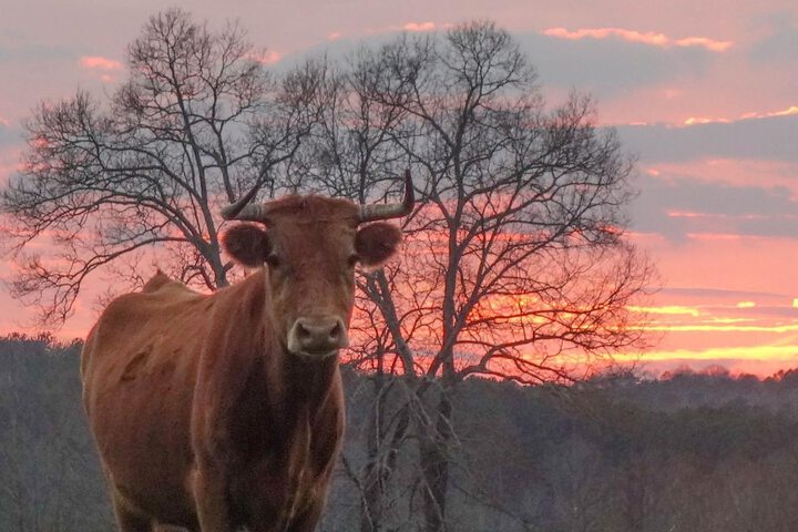Seventy-four Ranch